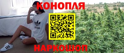 гашиш Северобайкальск