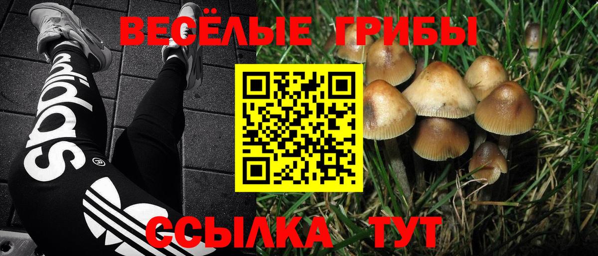 Галлюциногенные грибы ЛСД Омск