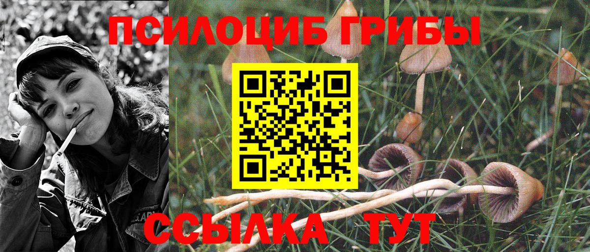 сколько стоит  Галлюциногенные грибы GOLDEN TEACHER  Галлюциногенные грибы прущие грибы  Вход с VPN  Омск 